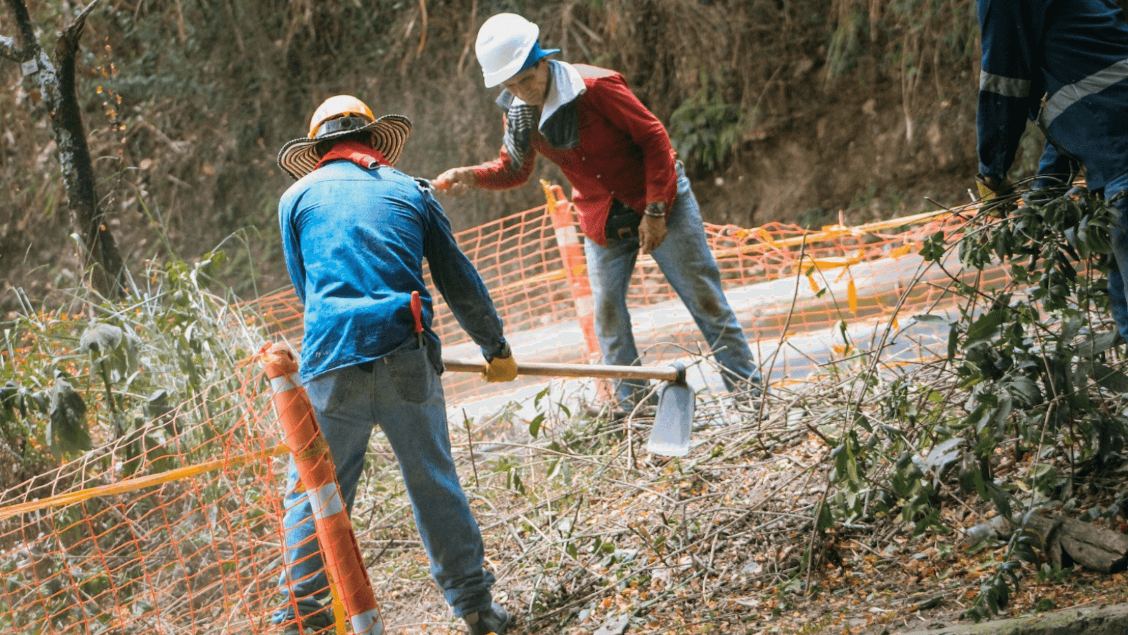 ¡Una avenida más linda! Así va la transformación de los separadores de la Pedro Tafur