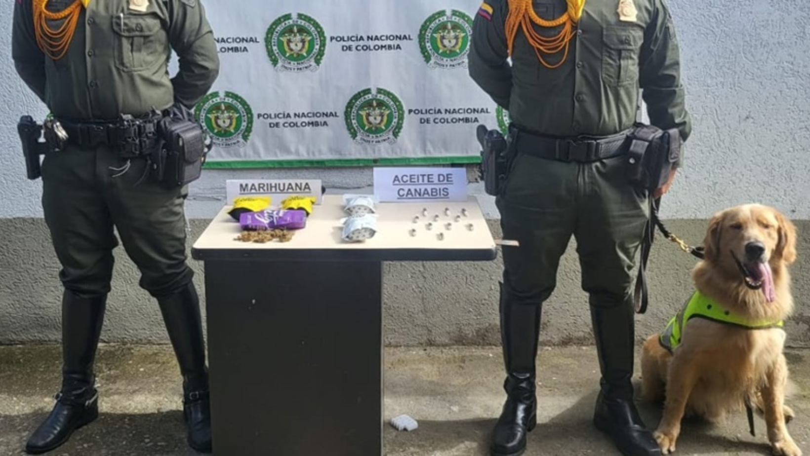 Incautación de marihuana y aceite de cannabis en una bodega de encomiendas en Ibagué