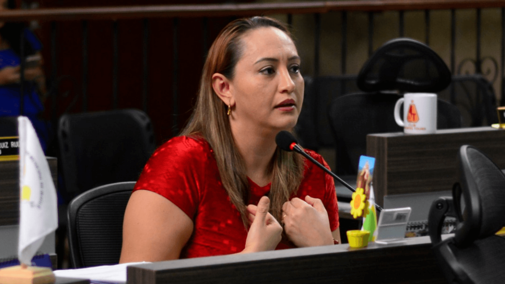 Militantes de Alianza Verde respaldan a Linda Perdomo como candidata a la Alcaldía de Ibagué y denuncian violencia política