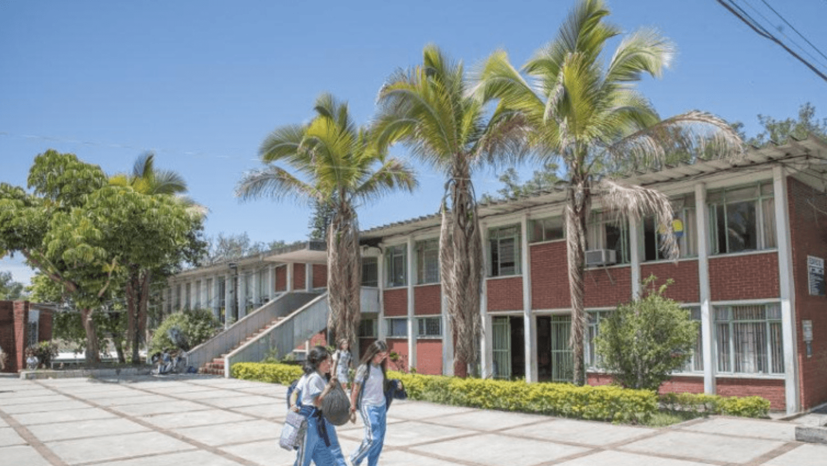 Escándalo en el colegio INEM de Ibagué: Estudiantes ofrecen limonada con viagra a sus compañeros Escándalo en el colegio INEM de Ibagué: Estudiantes ofrecen limonada con viagra a sus compañeros