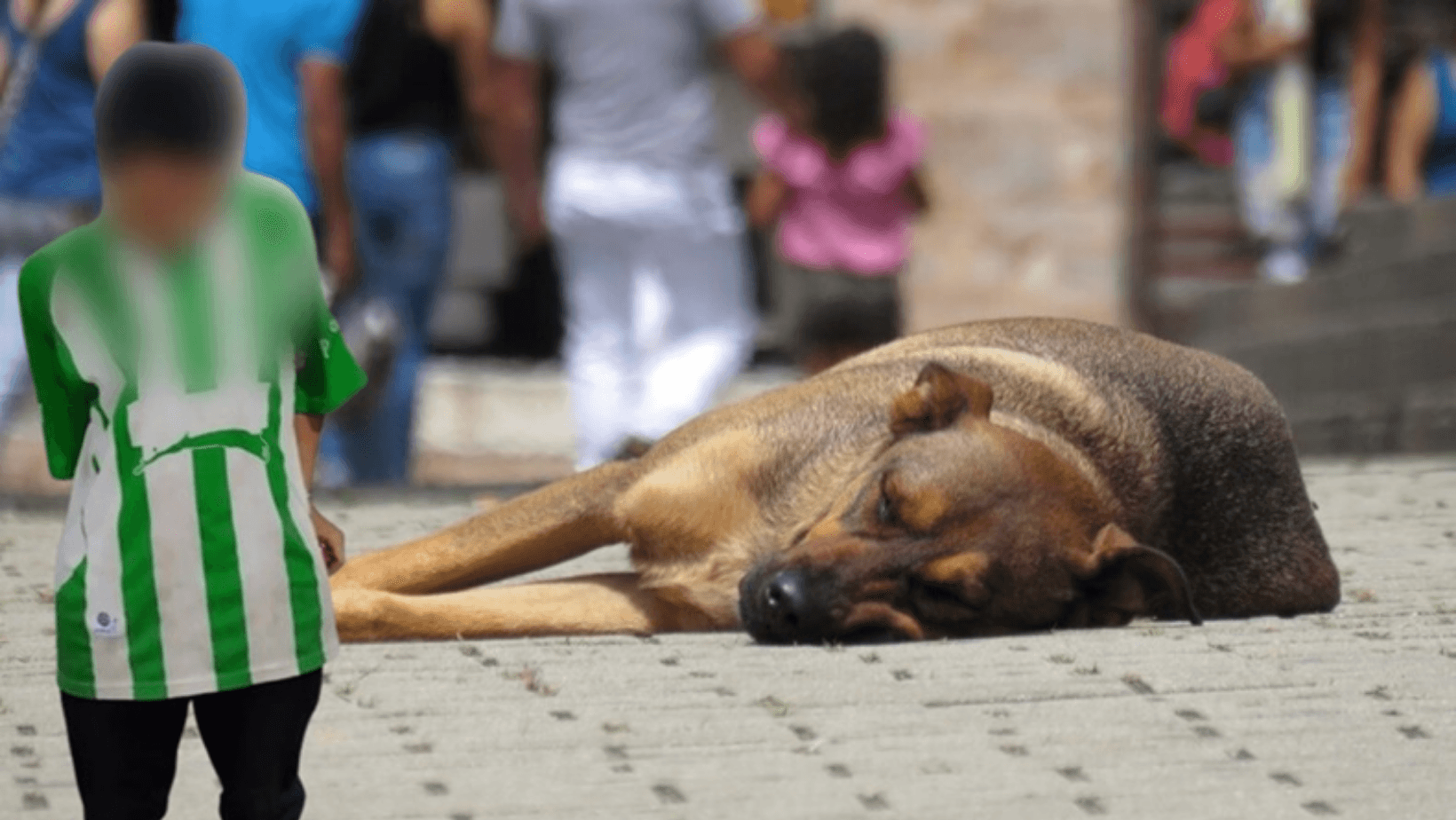 Capturado sujeto que mató a patadas a un perrito por ladrarle en Alpujarra Capturado sujeto que mató a patadas a un perrito por ladrarle en Alpujarra