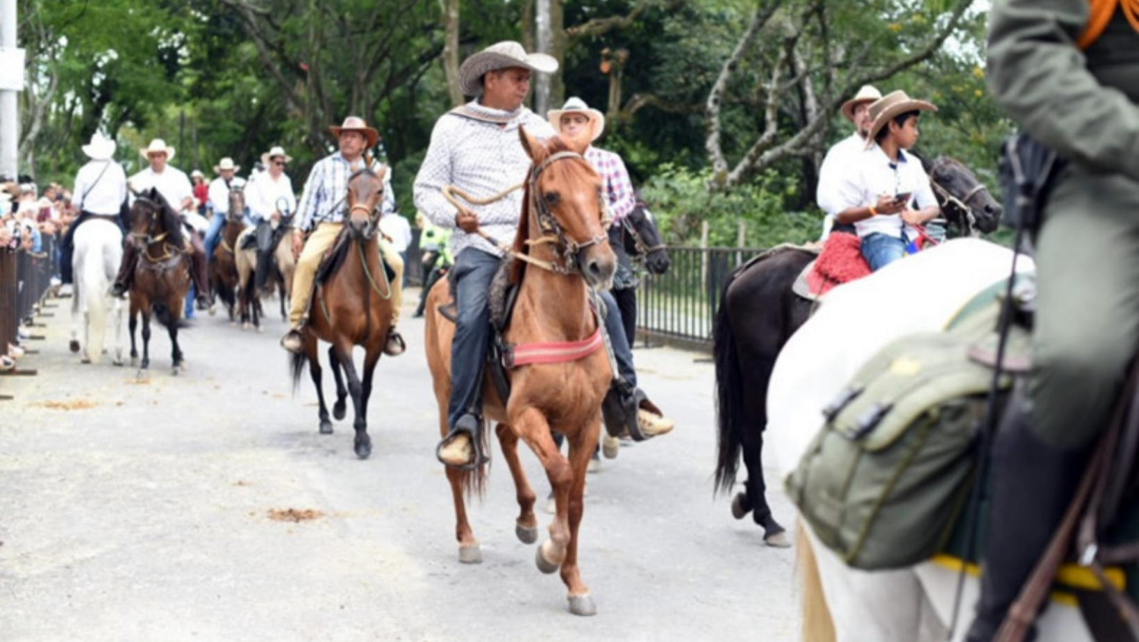 Es oficial: tradicional cabalgata sanjuanera queda suspendida