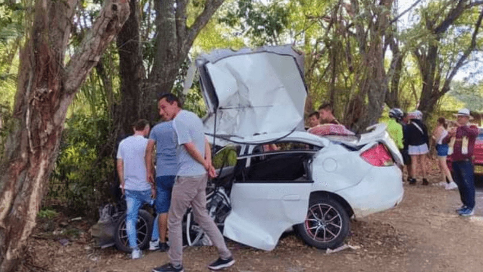 Tragedia en familia ibaguereña: un fallecido y cinco heridos, incluyendo niños Tragedia en familia ibaguereña: un fallecido y cinco heridos, incluyendo niños