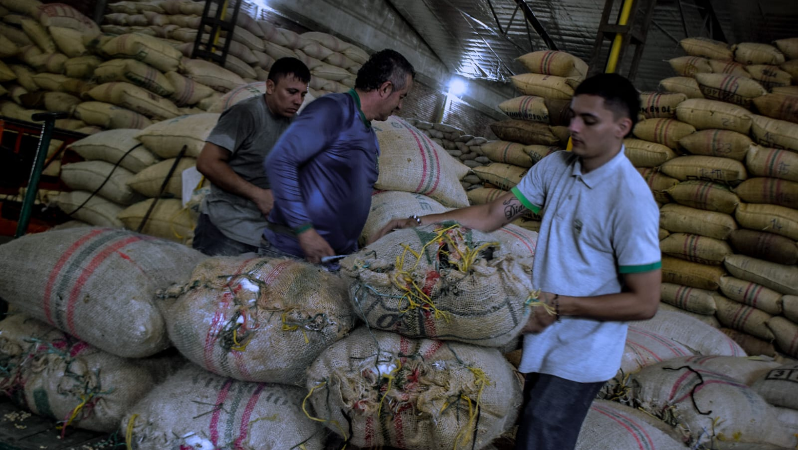 <em>Cafeteros tolimenses podrán inscribirse hasta el 6 de agosto en el concurso de Microlotes de la Feria Internacional de Café del Tolima</em>