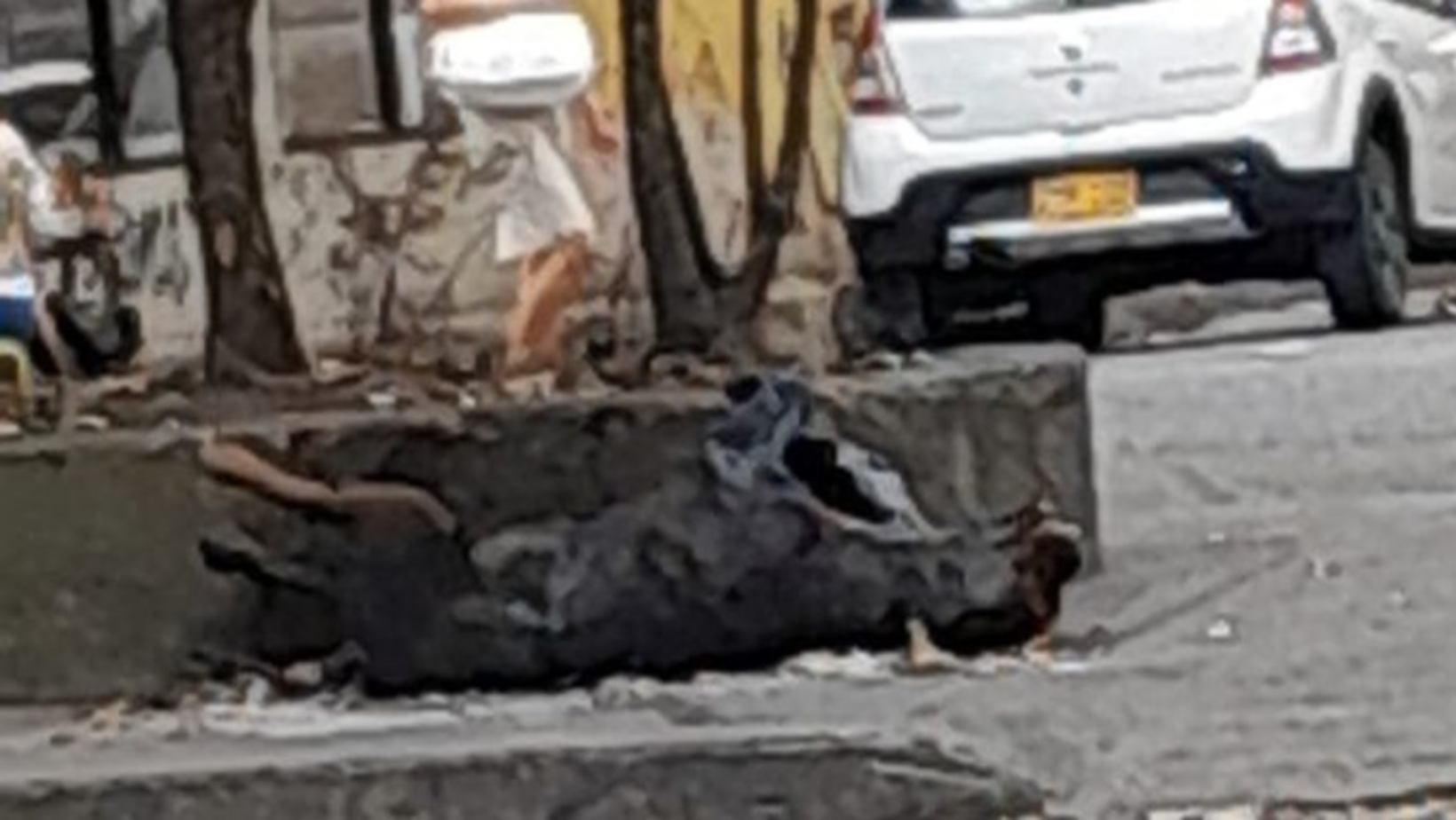 ¡Hallazgo macabro en Ibagué! Perrito incinerado es encontrado en una bolsa