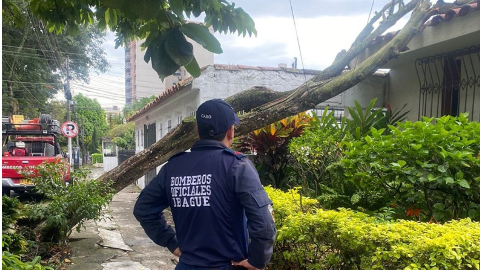 Lluvias y tormenta eléctrica en Ibagué dejan afectaciones y caída de árboles