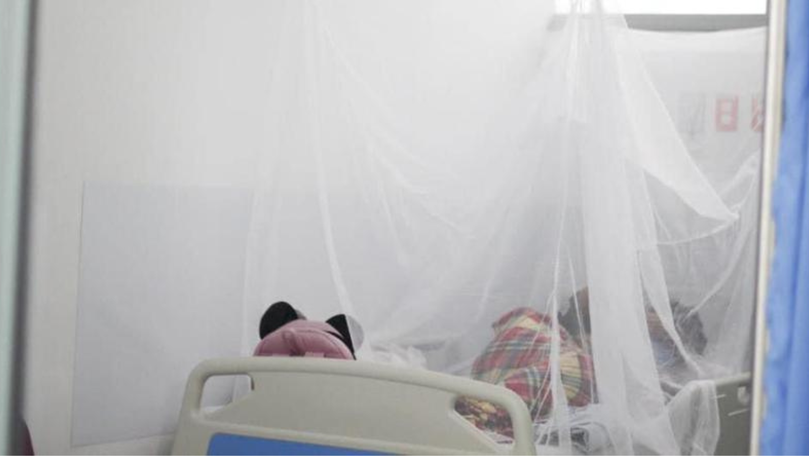 Autoridades reportan segundo fallecimiento por dengue en Ibagué