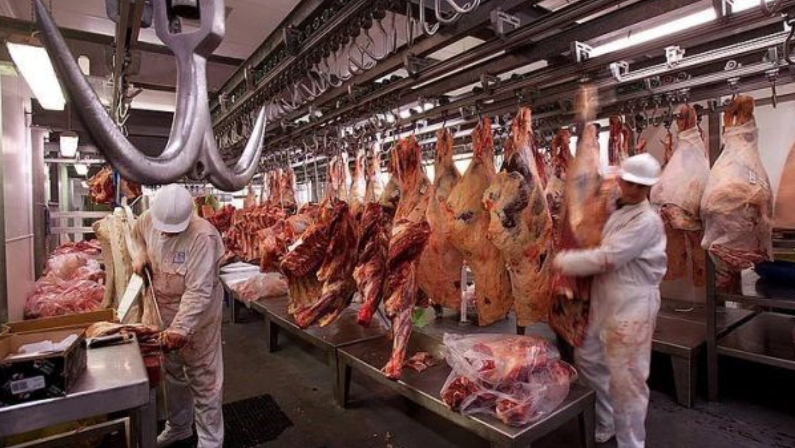 Esto busca el decreto de reglamentar plantas de beneficio animal en Colombia