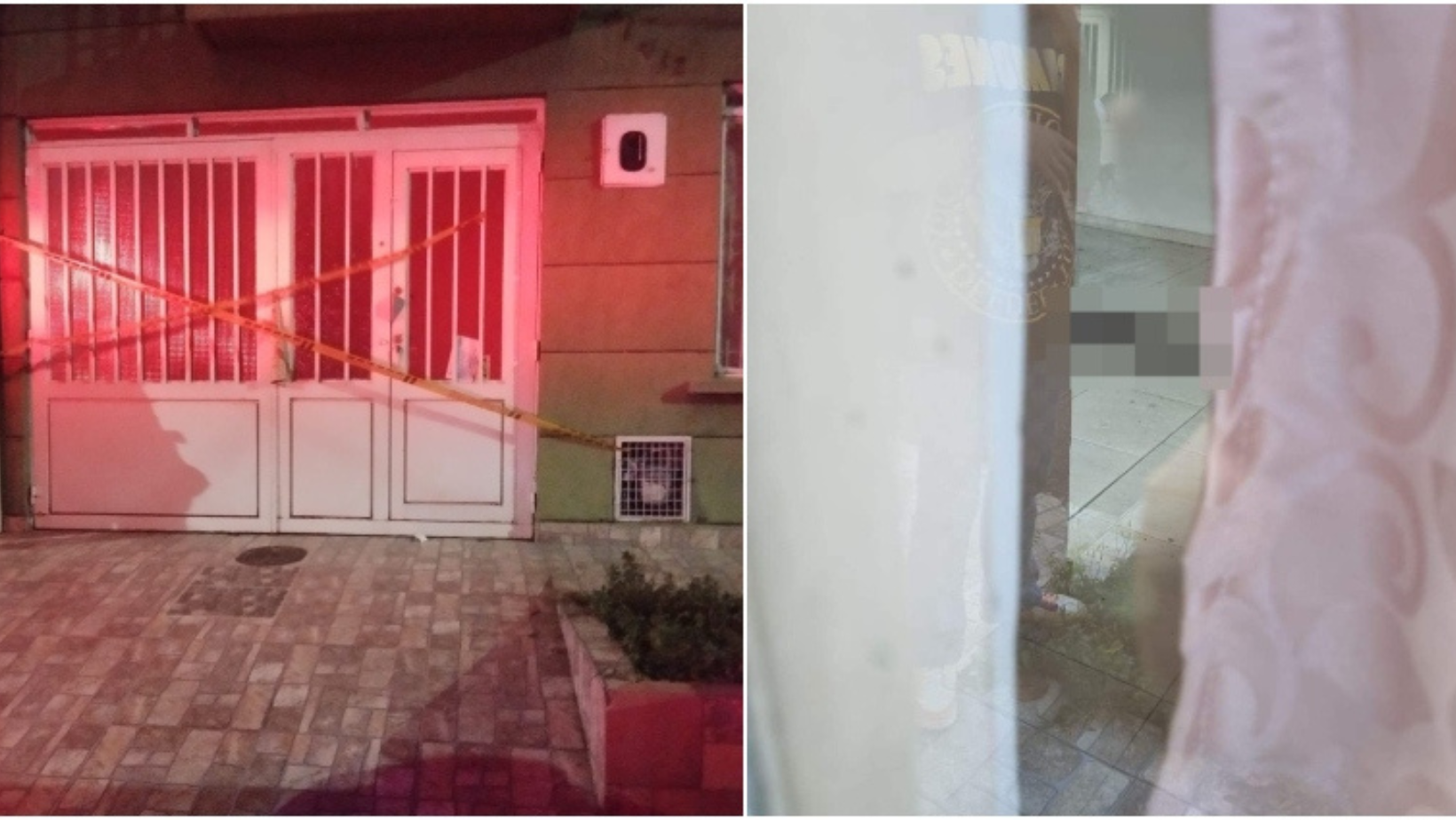 Mascota muere al interior de una casa por presunto abandono en Ibagué Mascota muere al interior de una casa por presunto abandono en Ibagué