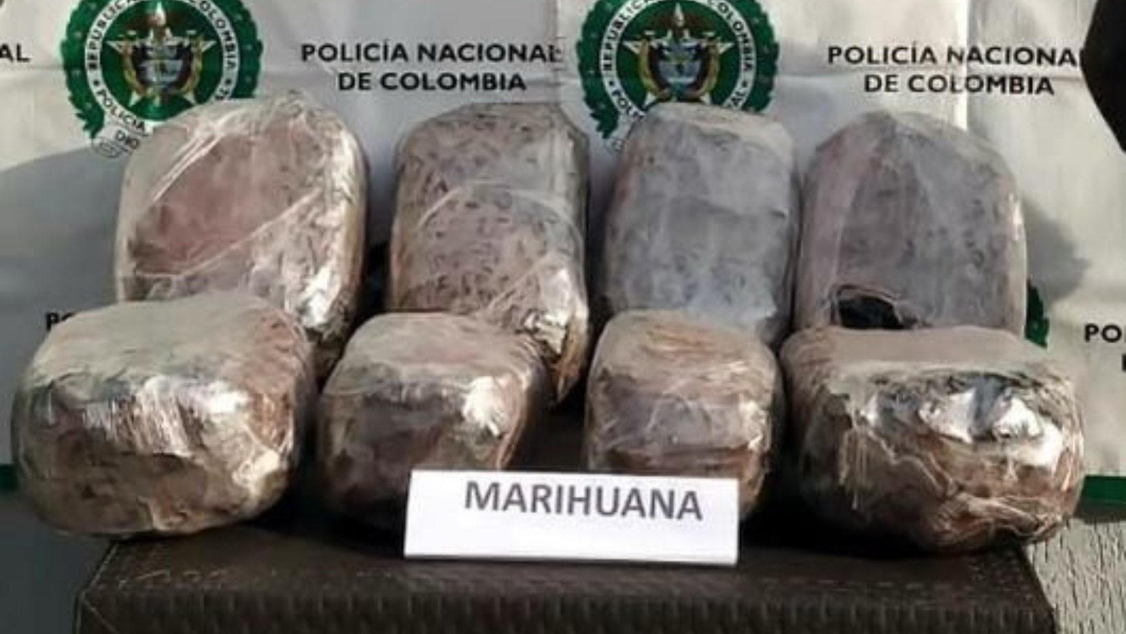 <em>Canino dio positivo a cargamento de marihuana que iba en la bodega de un bus en Cajamarca</em>