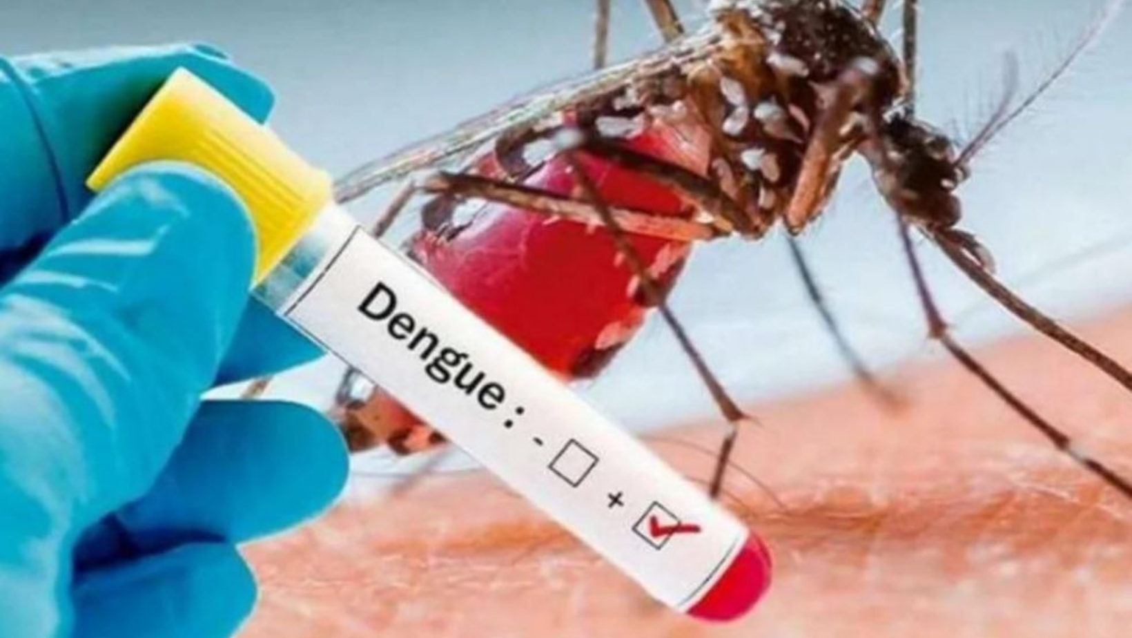 Más de 120 personas han estado en UCI a causa del Dengue en Ibagué