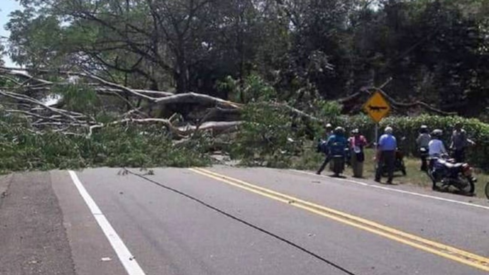 Fuertes lluvias impactan poblaciones del norte del Tolima