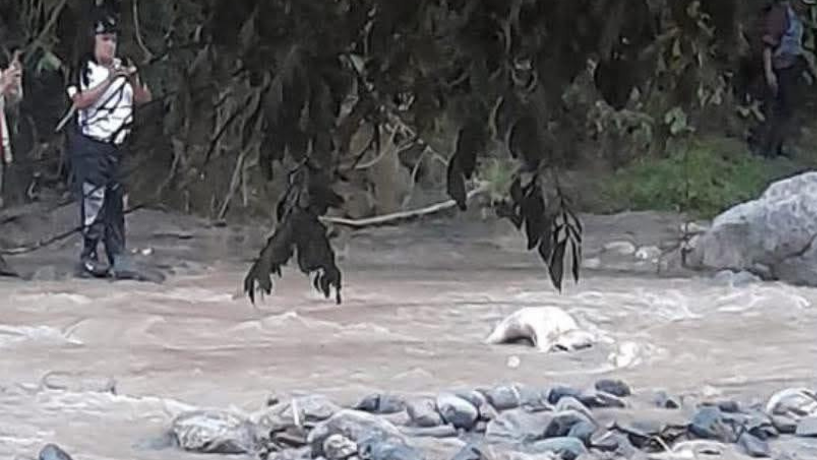 Encontraron el cuerpo de Don Jaime Encontraron el cuerpo de Don Jaime