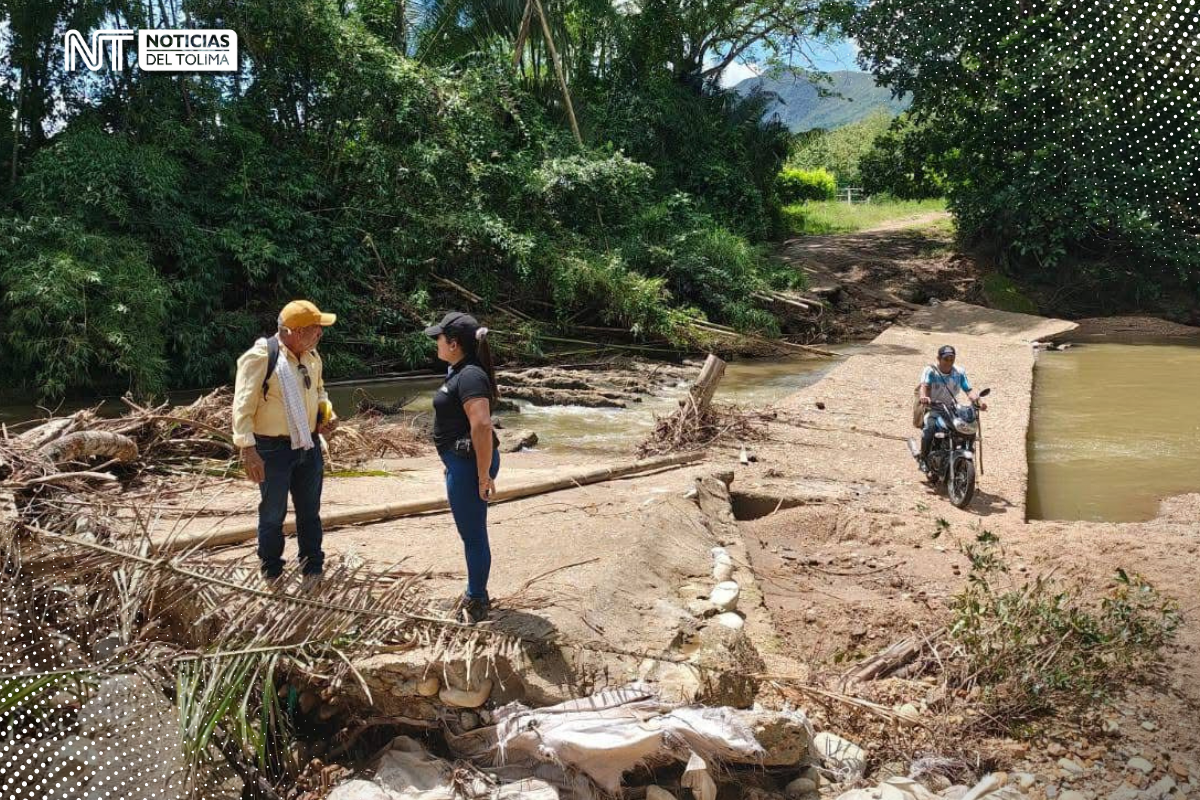 En Carmen de Apicalá: Comunidad de la vereda Brasil denuncia un total abandono En Carmen de Apicalá: Comunidad de la vereda Brasil denuncia un total abandono