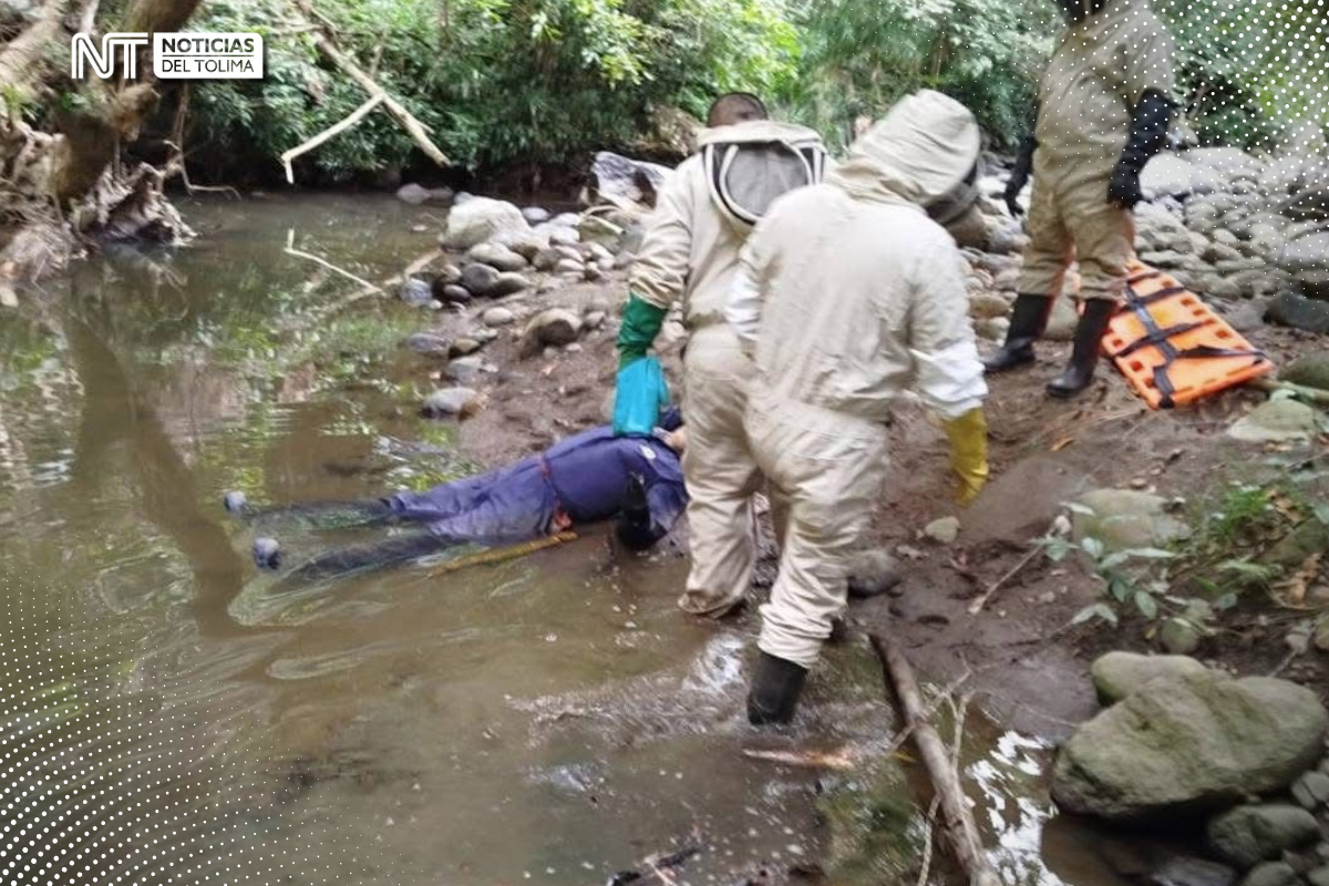 En Lérida: Hombre murió luego de caer por un barranco En Lérida: Hombre murió luego de caer por un barranco
