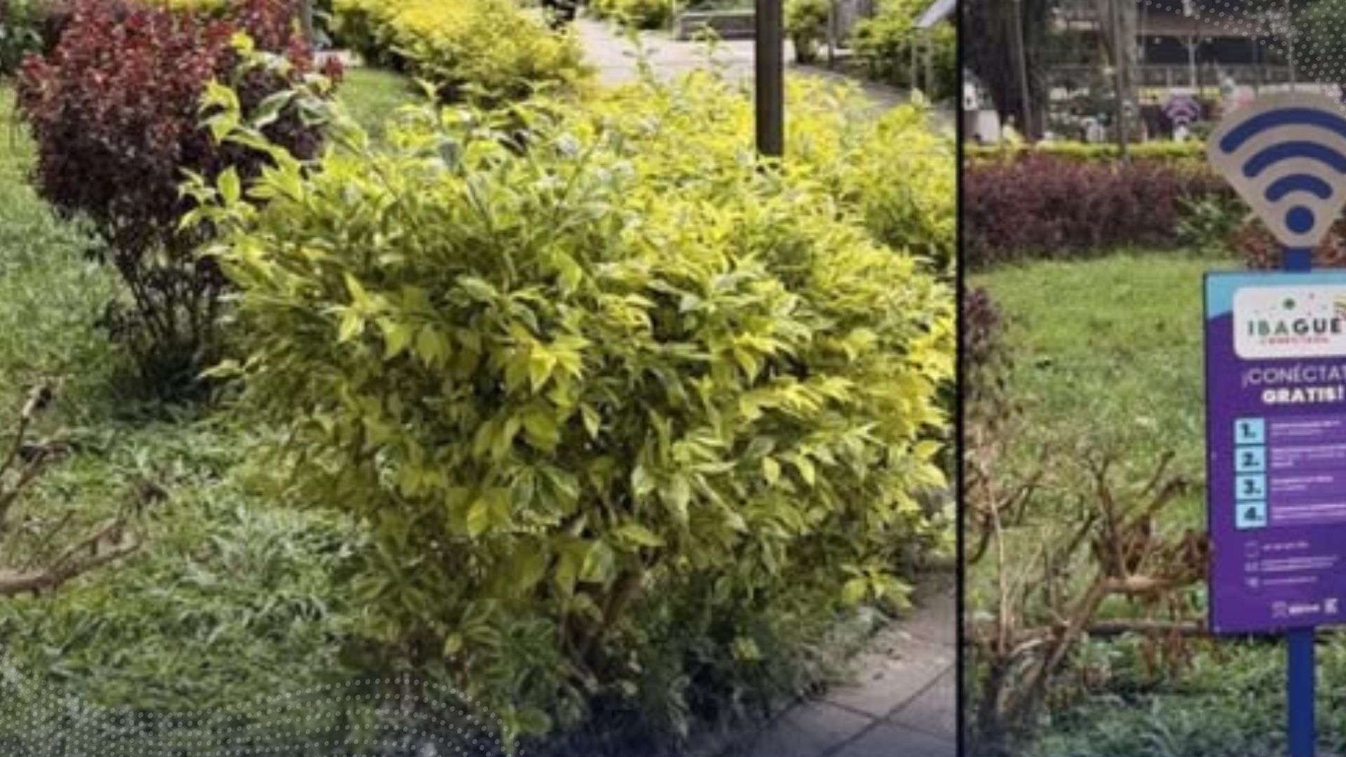 Ldrones hurtaron señalética de la zona WIFI en la Plaza de Bolívar