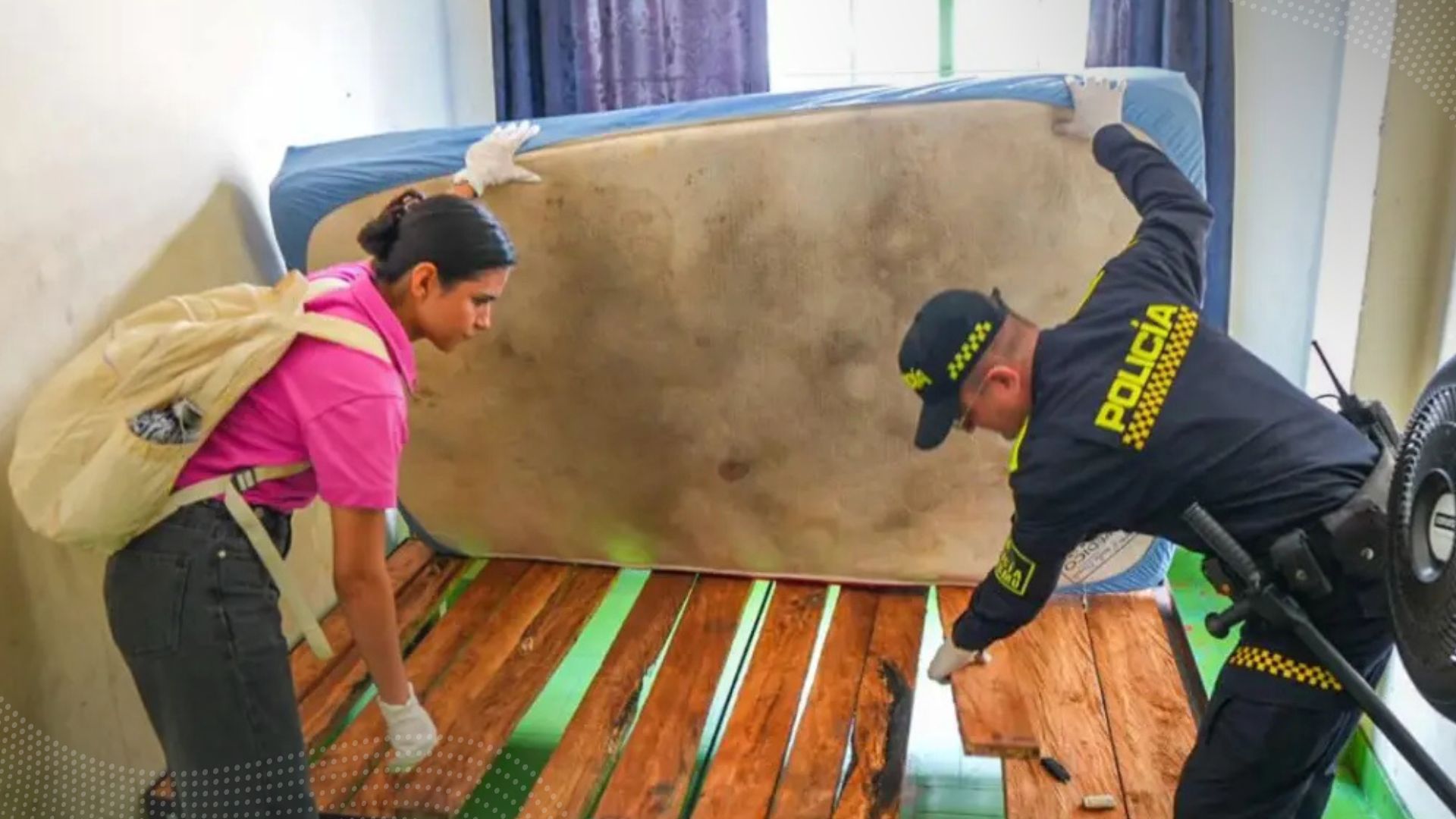 Alcaldía cerró hotel por presencia de plagas y desaseo