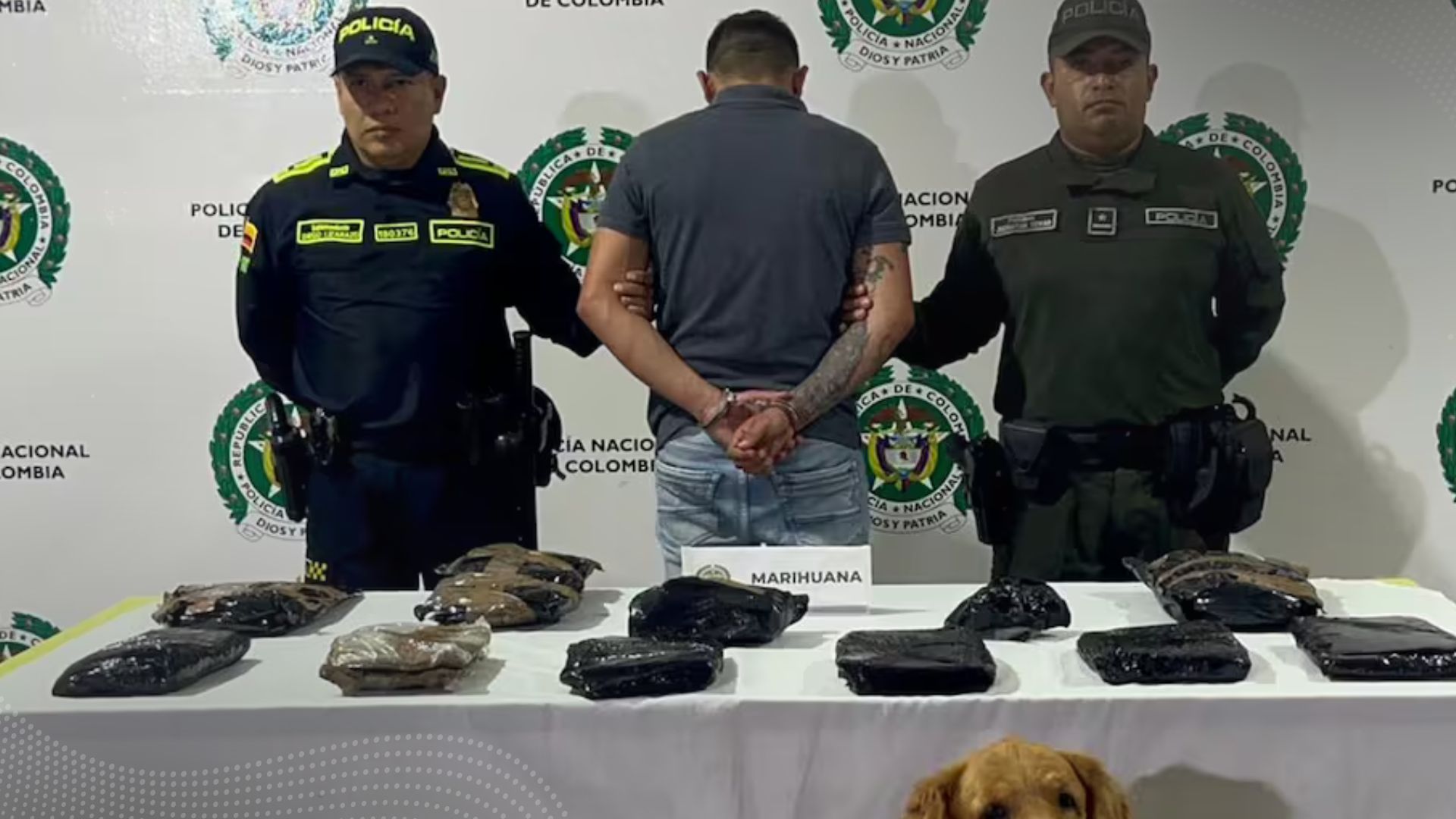 Lo capturaron con 8 kilos de marihuana en el Terminal de Ibagué