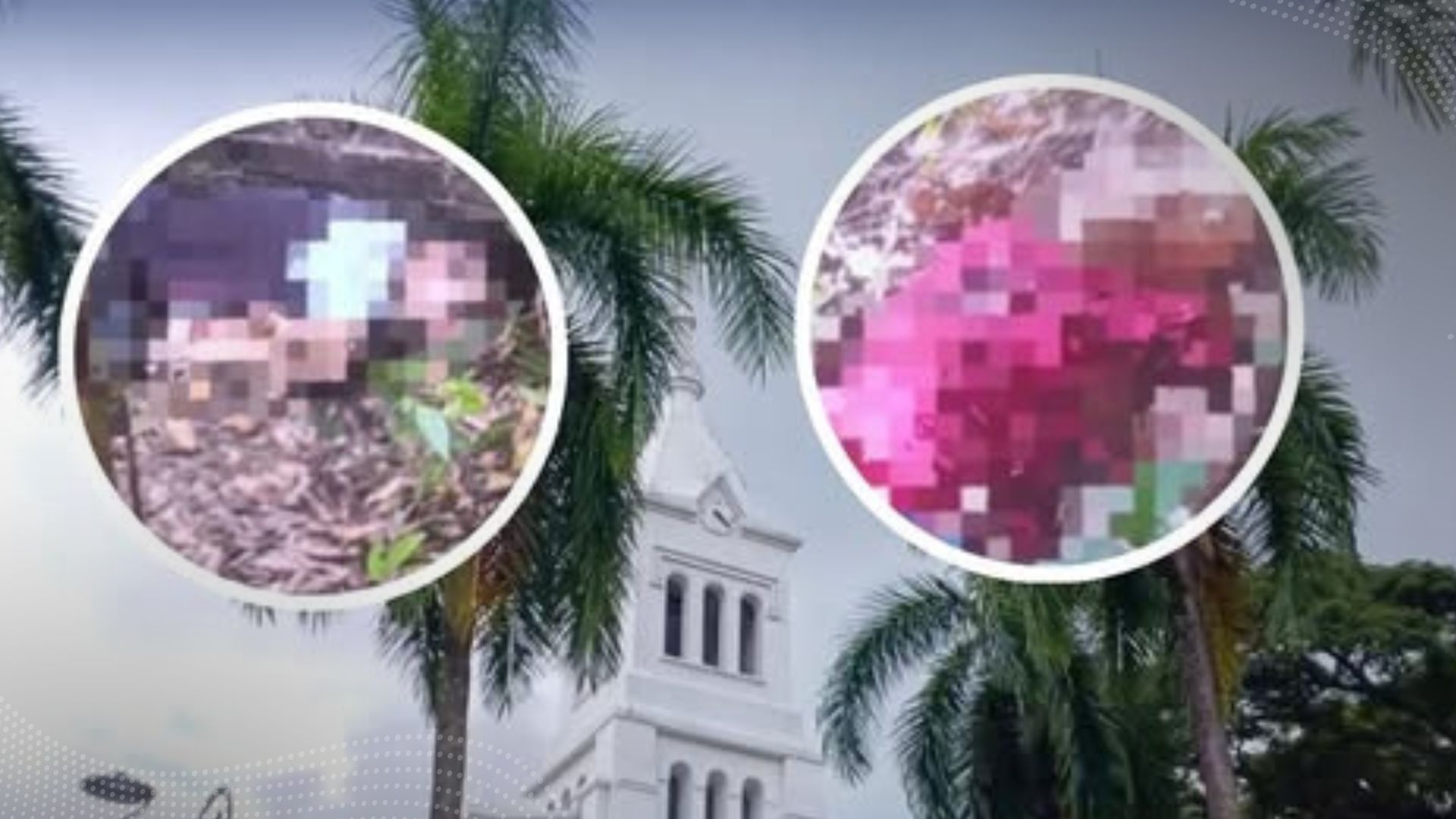 En Rovira asesinaron al ‘Mago’ y ‘Viven 100’