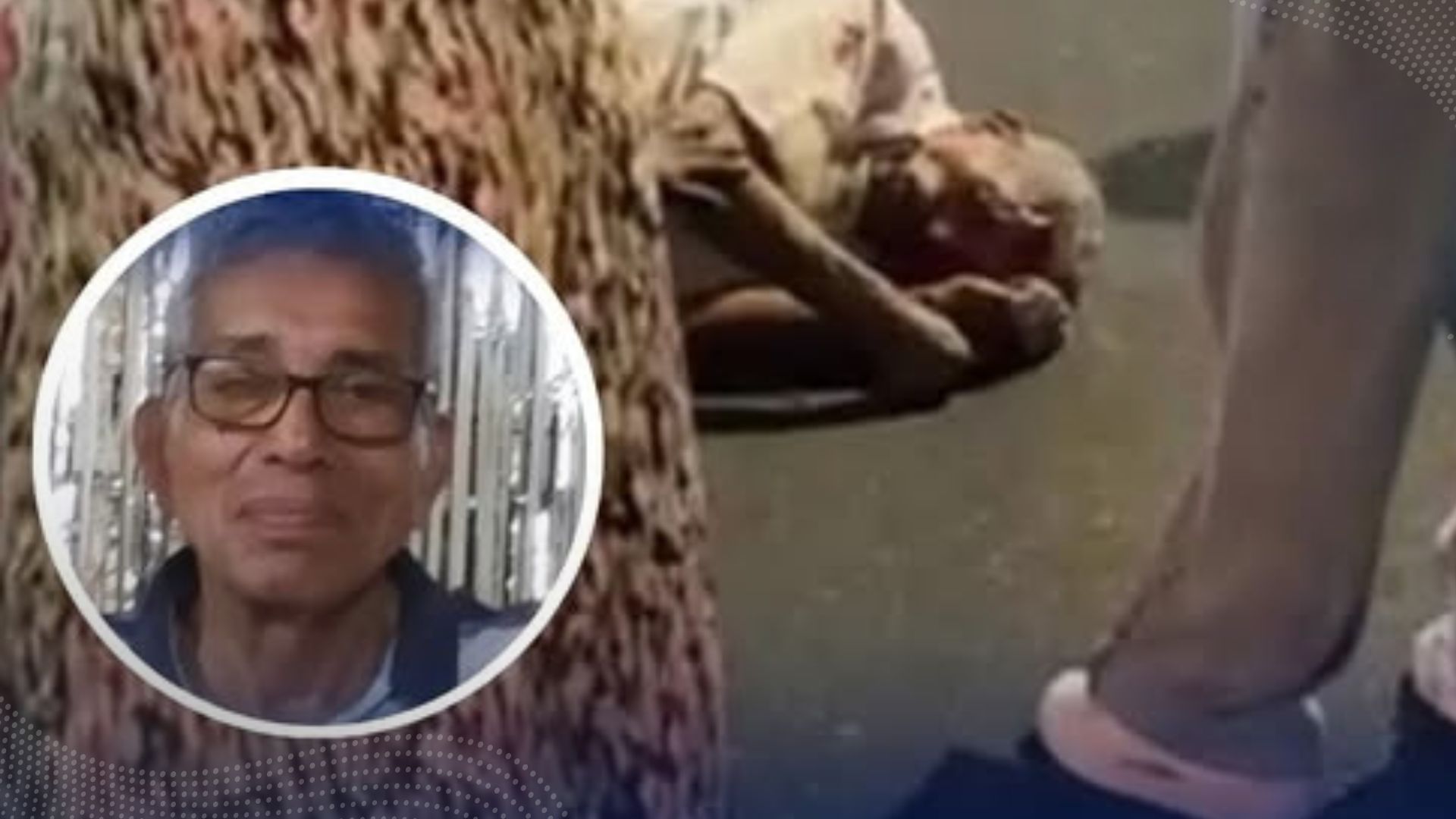 Abuelo atropellado murió en Ibagué Abuelo atropellado murió en Ibagué