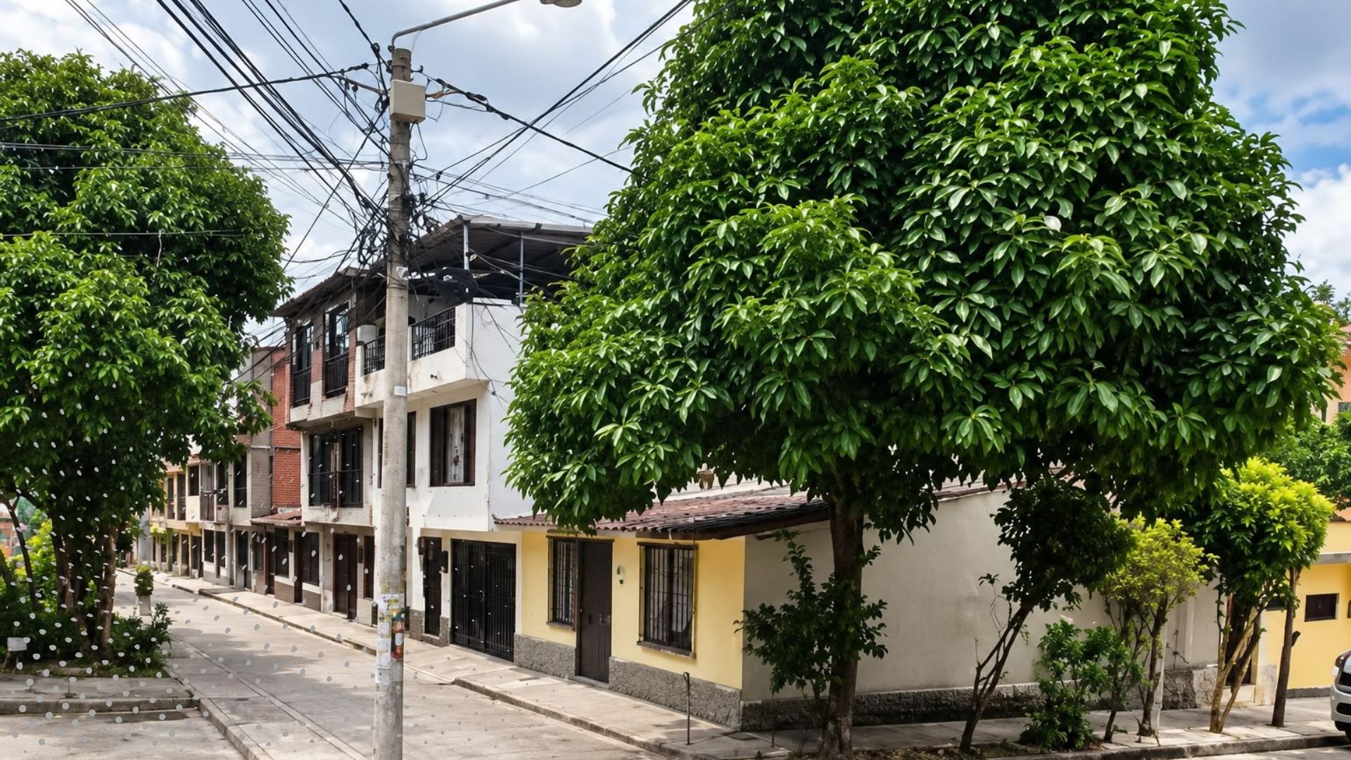 Mujer de 53 años murió en presunto caso de violencia intrafamiliar en Ibagué: señalado agresor fue capturado Mujer de 53 años murió en presunto caso de violencia intrafamiliar en Ibagué: señalado agresor fue capturado